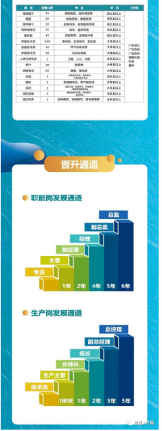 圖片8.png 圖片
